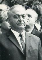ვასილ მჟავანაძე